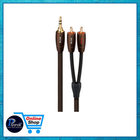 สายสัญญาณอนาล็อก AUDIOQUEST : BIG SUR (MINI TO RCA) (1.0M)_1